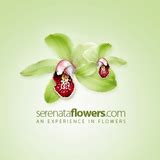 Serenata Flowers Coupons, Promo Codes April 2024 .
